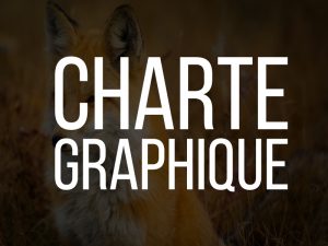 Charte graphique